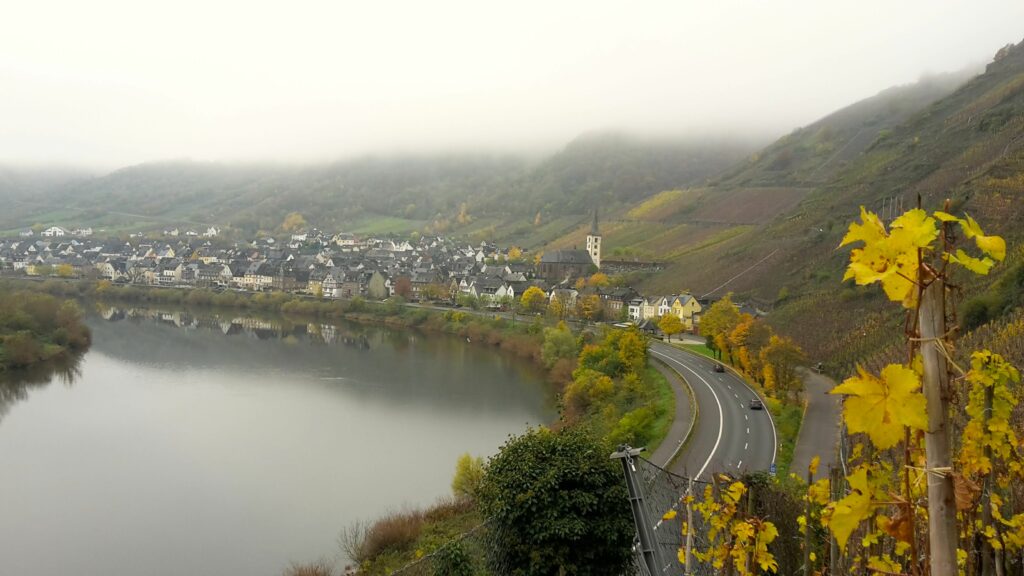 Nasse Weinberge an der Mosel