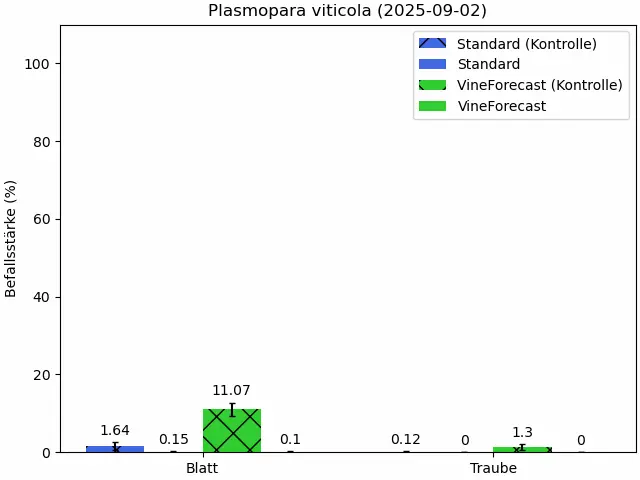 Intensité de l'attaque de Peronospora Essai